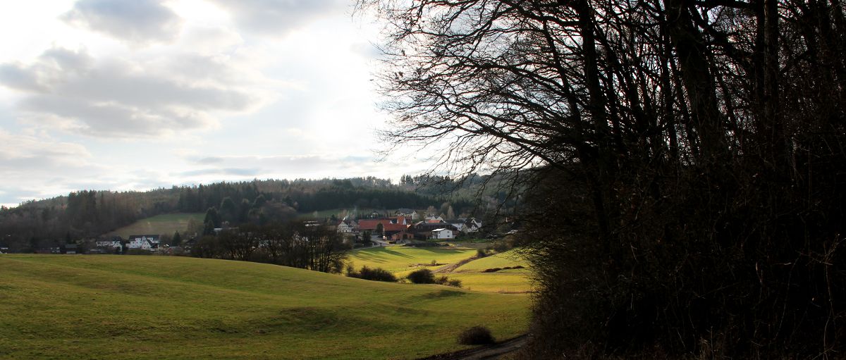 Blick auf Rodenbach vom Waldrand
