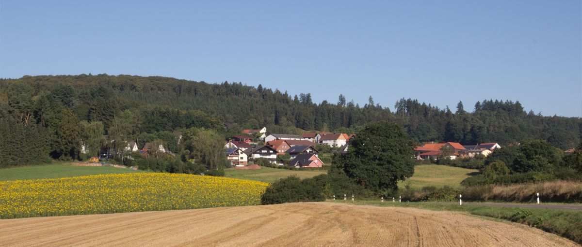 Luftbild Rodenbach
